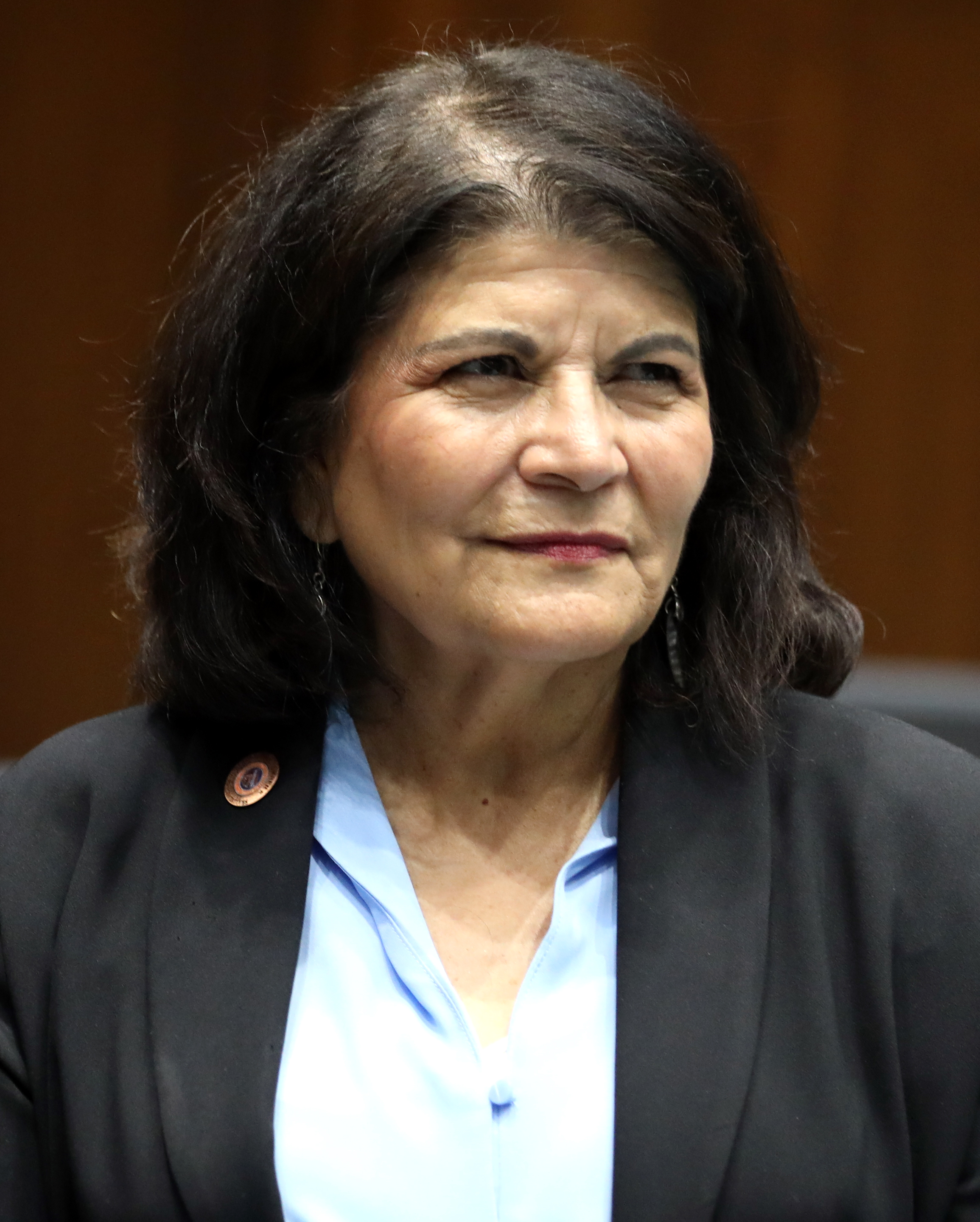 Official portrait of Betty Villegas